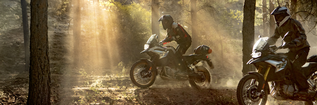 BMW Motorcycles visiting a forest in Southern California.